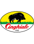 PENNELLI CINGHIALE